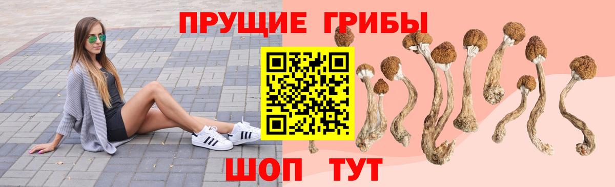 Псилоцибиновые грибы мицелий  Вход с VPN  Спасск-Дальний  Псилоцибиновые грибы мицелий 